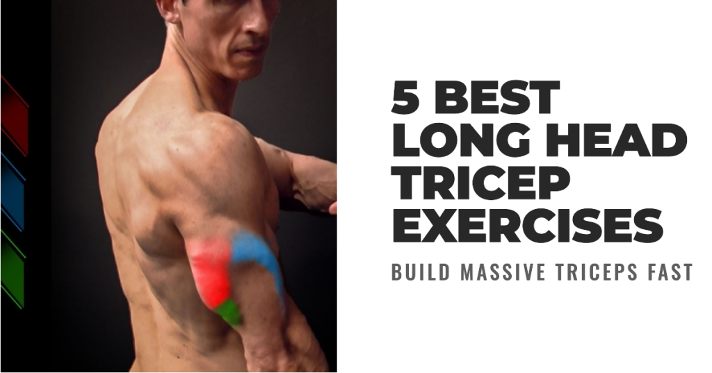 best-long-head-tricep-exercises