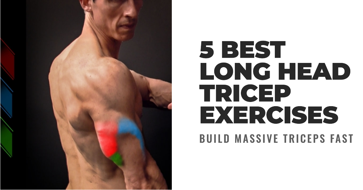 5 Best Long Head Tricep Exercises Including Tips On How To Build