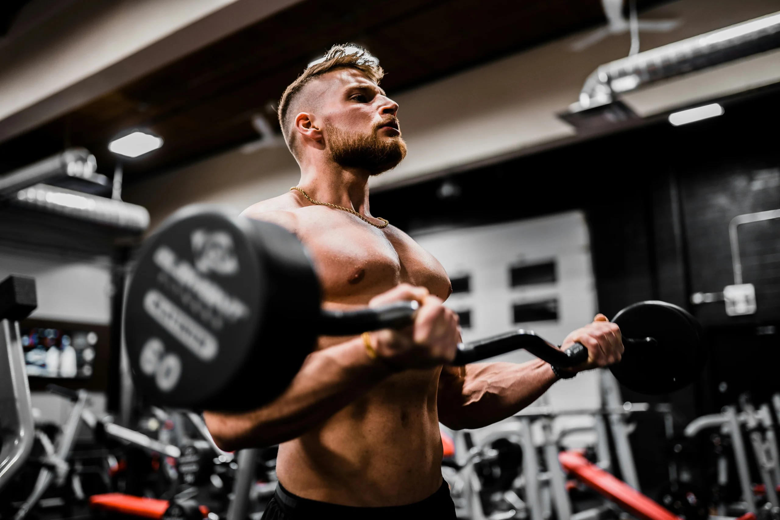 bodybuilder performing barbell curls during a workout session in the gym