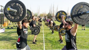 Open Powerlifting Use – open powerlifting how to use the database to track your comp