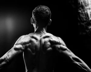 skeletal muscle mass – dynamic black and white portrait of muscular physique for body composition reference