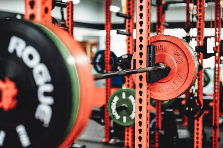 Colorful weight plates loaded on a barbell, illustrating how many plates is 225